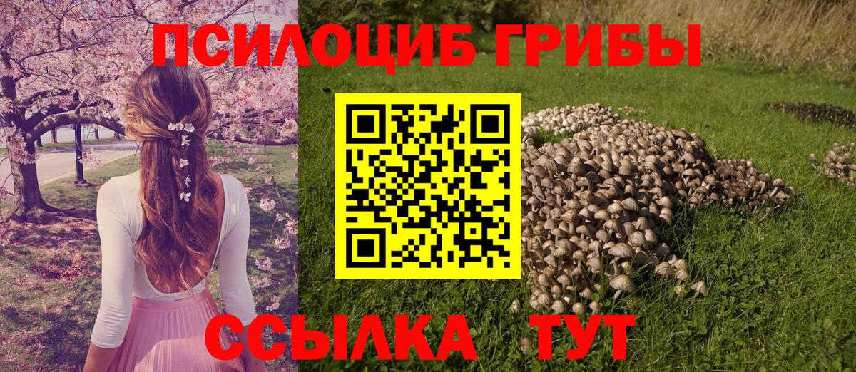 Берёзовский  Псилоцибиновые грибы GOLDEN TEACHER  Вход с VPN 