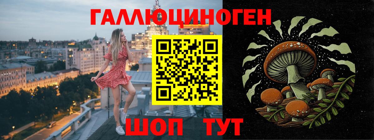 Псилоцибиновые грибы Cubensis Берёзовский