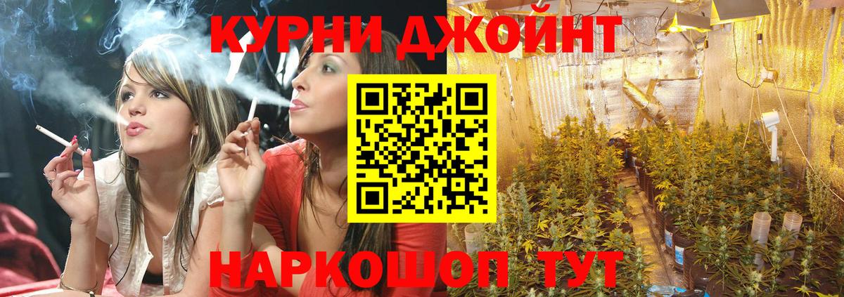 Конопля марихуана Берёзовский